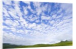Green Hills Under Cumulus Clouds in Canada by Anonymous