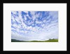 Green Hills Under Cumulus Clouds in Canada by Anonymous