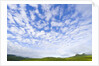 Green Hills Under Cumulus Clouds in Canada by Anonymous