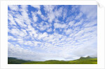 Green Hills Under Cumulus Clouds in Canada by Anonymous