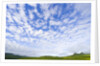 Green Hills Under Cumulus Clouds in Canada by Anonymous