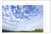 Green Hills Under Cumulus Clouds in Canada by Anonymous