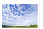Green Hills Under Cumulus Clouds in Canada by Anonymous