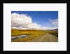 Clouds Above Autumn Tundra and Gravel Road in Alaska by Anonymous