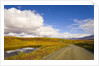 Clouds Above Autumn Tundra and Gravel Road in Alaska by Anonymous