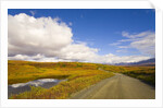 Clouds Above Autumn Tundra and Gravel Road in Alaska by Anonymous