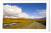 Clouds Above Autumn Tundra and Gravel Road in Alaska by Anonymous