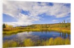 Cumulus Clouds Above Fall Tundra by Anonymous