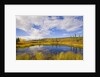 Cumulus Clouds Above Fall Tundra by Anonymous