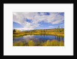 Cumulus Clouds Above Fall Tundra by Anonymous