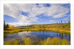Cumulus Clouds Above Fall Tundra by Anonymous