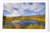 Cumulus Clouds Above Fall Tundra by Anonymous
