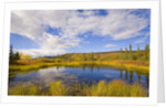 Cumulus Clouds Above Fall Tundra by Anonymous