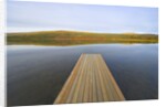 Floating Wooden Dock on Alaskan Lake by Anonymous