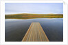 Floating Wooden Dock on Alaskan Lake by Anonymous