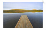 Floating Wooden Dock on Alaskan Lake by Anonymous