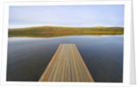 Floating Wooden Dock on Alaskan Lake by Anonymous