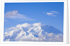 Mount McKinley by Anonymous