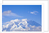 Mount McKinley by Anonymous