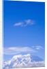 Mount McKinley by Anonymous