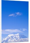 Mount McKinley by Anonymous