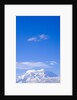Mount McKinley by Anonymous