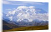 Mount McKinley by Anonymous