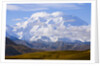Mount McKinley by Anonymous