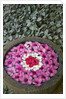 Stone Bowl Filled with Plumeria Blossoms by Anonymous