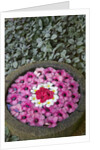 Stone Bowl Filled with Plumeria Blossoms by Anonymous