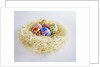 Easter Eggs in a Nest by Anonymous