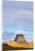 Tower Butte and Wild Horse Mesa by Anonymous