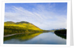 Liard River in Autumn by Anonymous