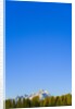 Grand Teton Range and Clear Sky by Anonymous