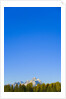Grand Teton Range and Clear Sky by Anonymous