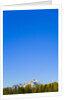 Grand Teton Range and Clear Sky by Anonymous