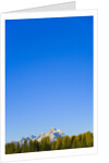 Grand Teton Range and Clear Sky by Anonymous