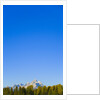 Grand Teton Range and Clear Sky by Anonymous
