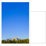 Grand Teton Range and Clear Sky by Anonymous