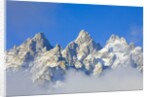 Grand Teton Range by Anonymous