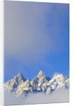 Grand Teton Range by Anonymous