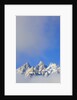 Grand Teton Range by Anonymous
