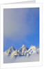 Grand Teton Range by Anonymous