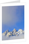 Grand Teton Range by Anonymous