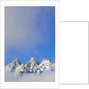 Grand Teton Range by Anonymous