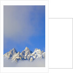 Grand Teton Range by Anonymous