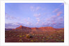 Sandstone Buttes at Dawn by Anonymous