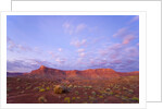Sandstone Buttes at Dawn by Anonymous