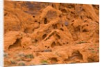 Eroded Sandstone Cliff With Holes by Corbis