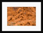 Eroded Sandstone Cliff With Holes by Corbis